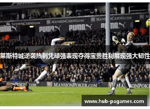 莱斯特城逆袭热刺凭顽强表现夺得宝贵胜利展现强大韧性 莱斯特城逆袭热刺凭顽强表现夺得宝贵胜利展现强大韧性