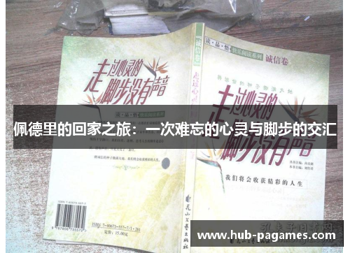 佩德里的回家之旅：一次难忘的心灵与脚步的交汇