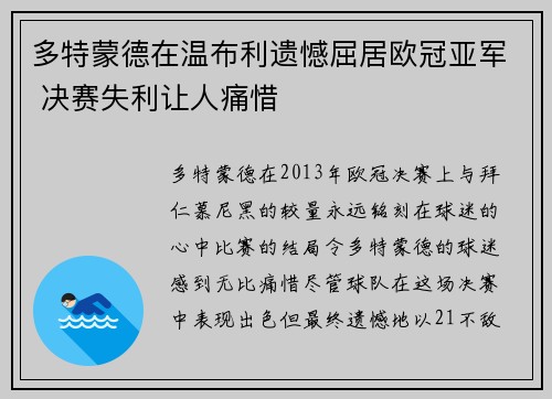 多特蒙德在温布利遗憾屈居欧冠亚军 决赛失利让人痛惜